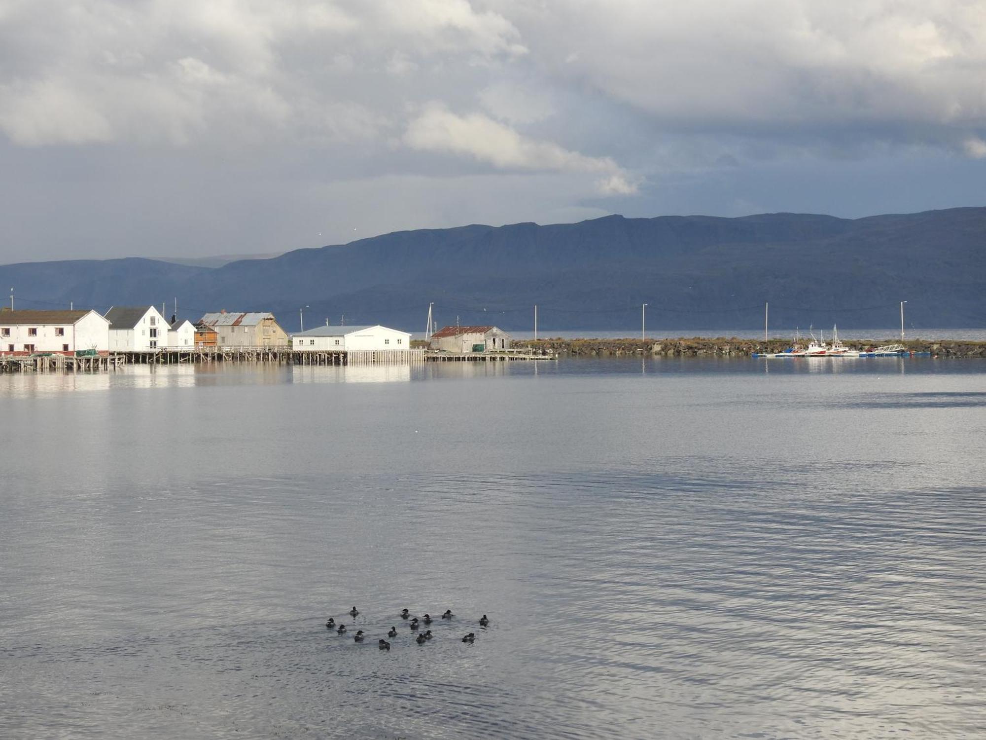 Kongsfjord Holiday Home エクステリア 写真